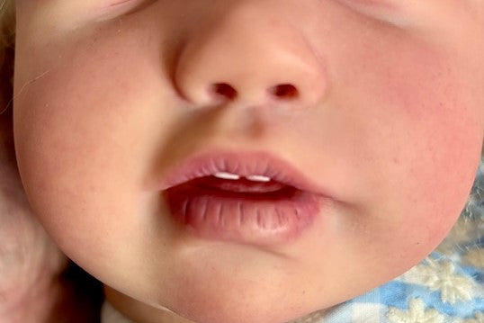 reborn Madeline's teeth